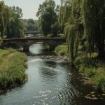 Berlin Norden: Naturerlebnisse entlang der Panke